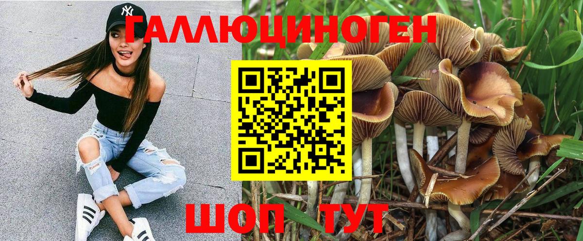Псилоцибиновые грибы GOLDEN TEACHER Кинешма